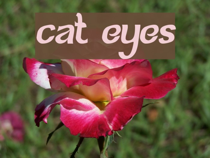 cat eyes Font examples