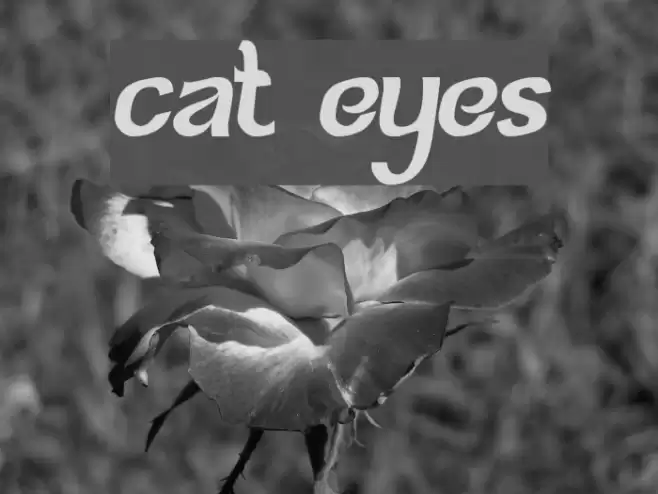 cat eyes Font examples