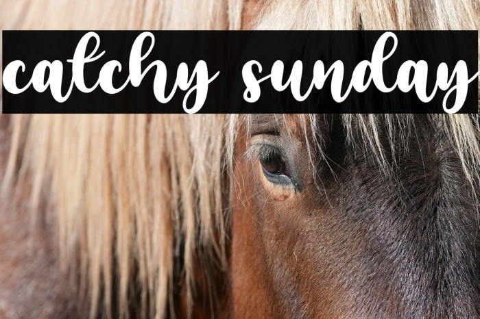 catchy sunday Example 1