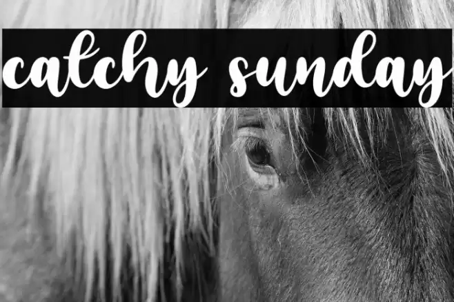 catchy sunday Polices examples