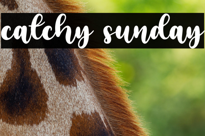 catchy sunday Example 3