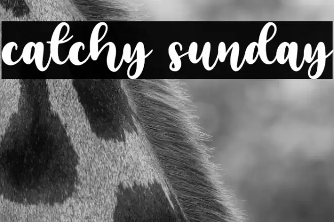 catchy sunday Polices examples