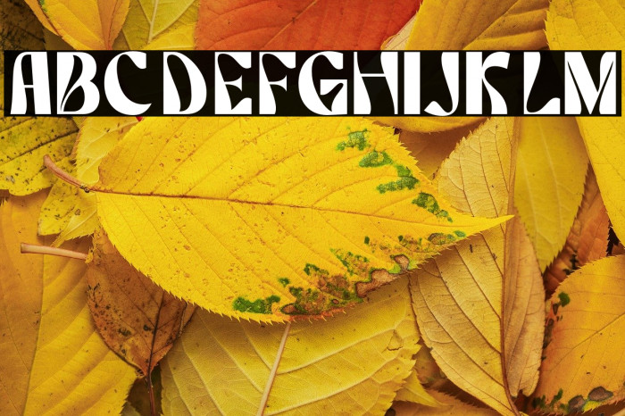 categories elegant demo regular Example 2