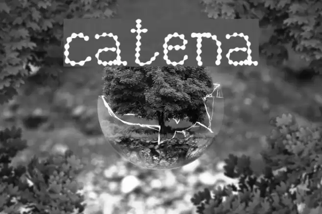 catena Font examples