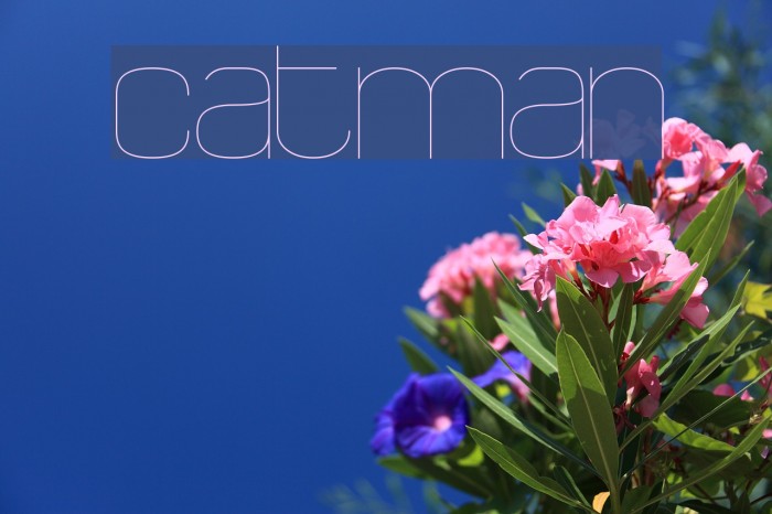 catman Font examples