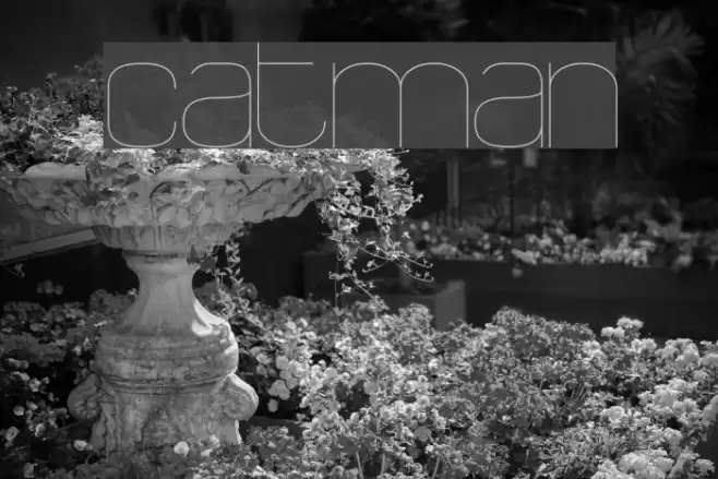 catman Font examples