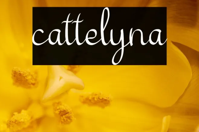 cattelyna Example 2