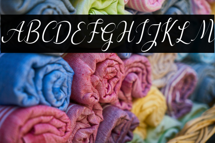 cayla Italic Example 1