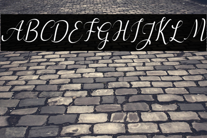 cayla Italic Example 2