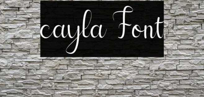 cayla Example 2