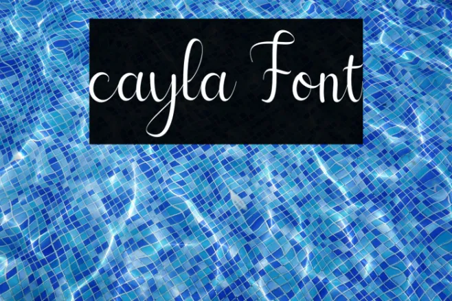 cayla Example 3