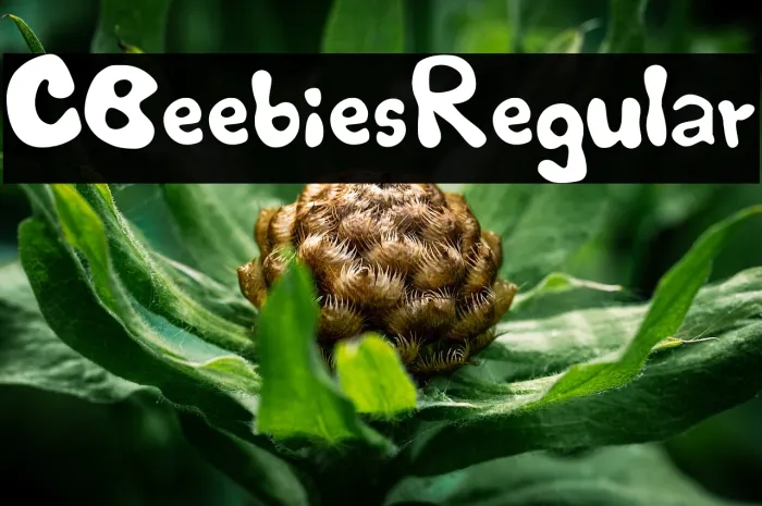 CBeebies Regular Example 1