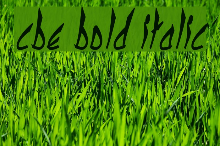cbe Bold Italic Example 1