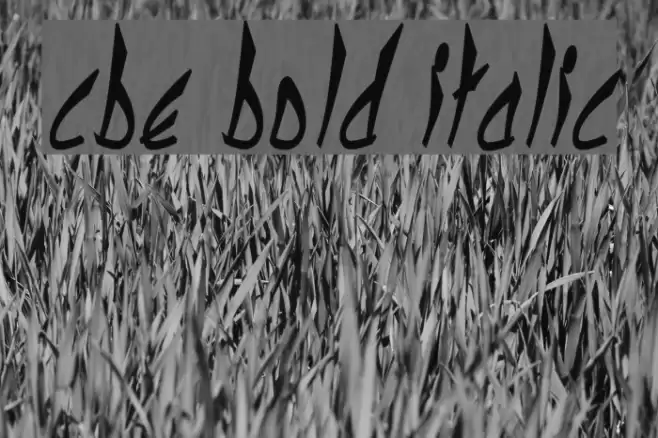 cbe Bold Italic Font examples