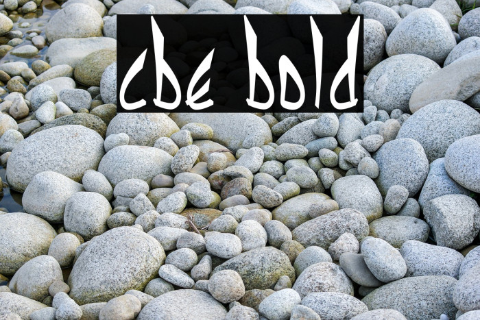 cbe Bold Font examples