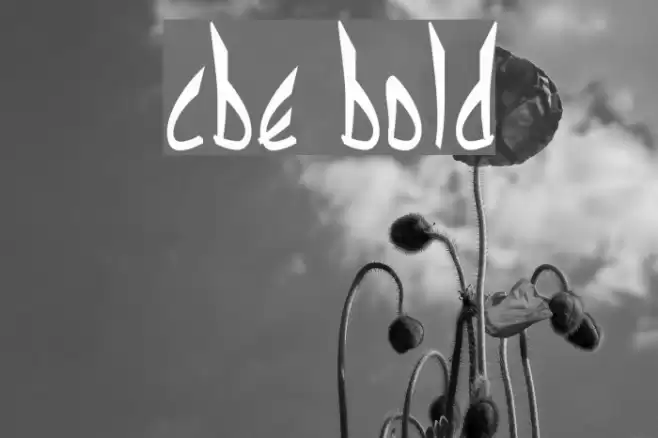 cbe Bold Font examples