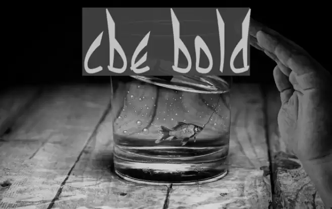 cbe Bold Font examples