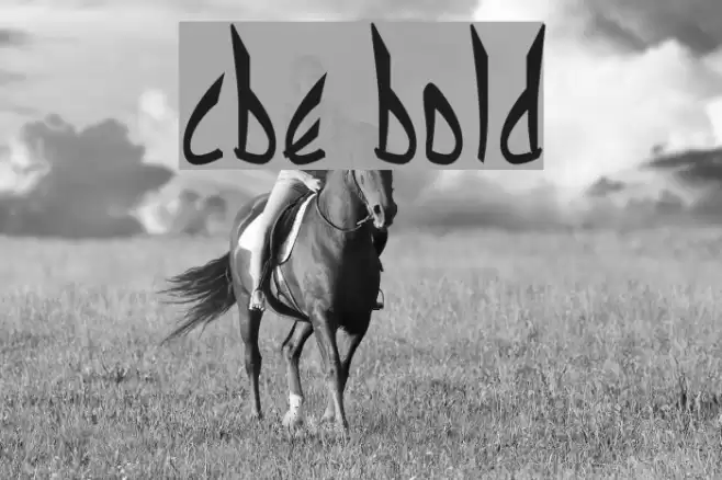 cbe Bold Font examples