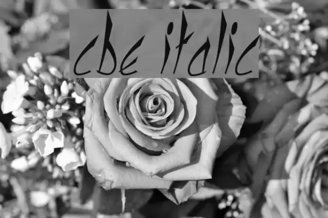 cbe Italic Font examples
