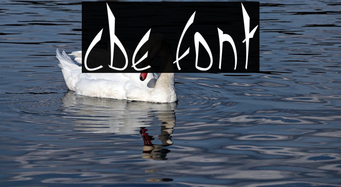 cbe Font examples