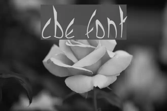cbe Font examples