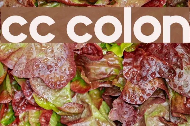 CC Colon Example 2