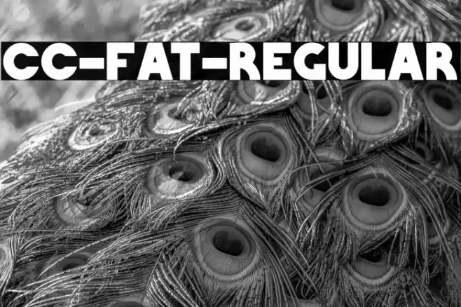 CC-Fat-Regular Font examples