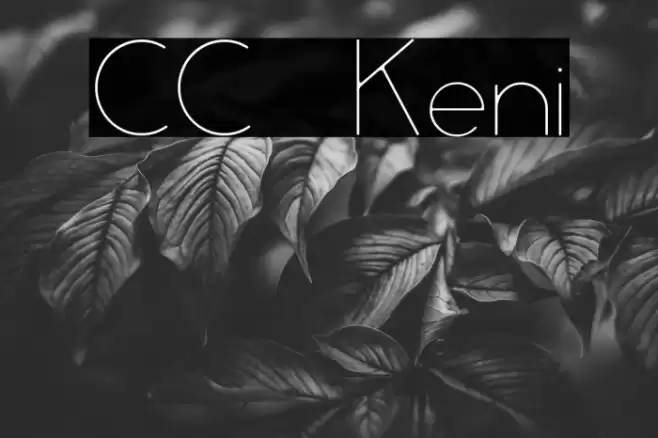 CC Keni Font examples