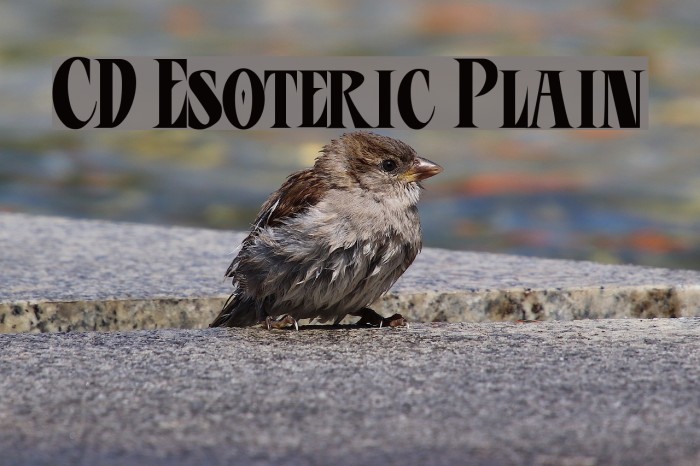 CD Esoteric Plain Font examples