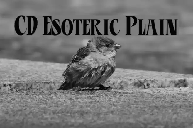 CD Esoteric Plain Font examples