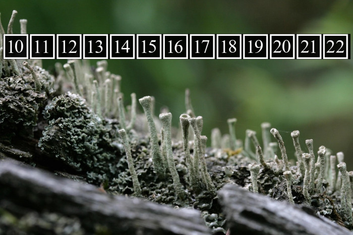 CD Numbers Example 3