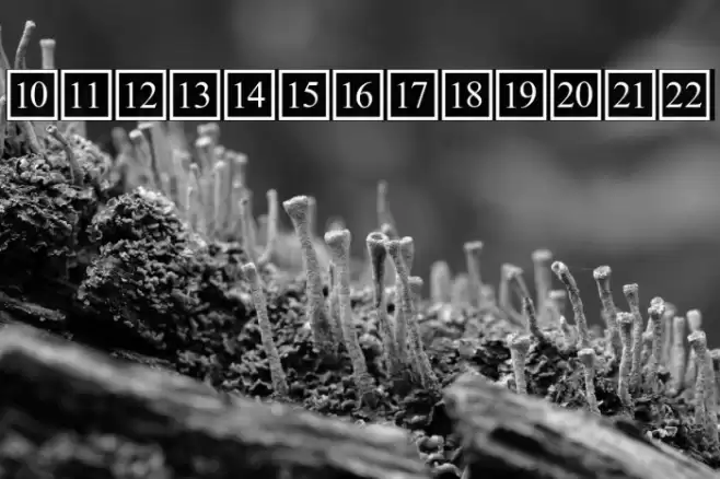 CD Numbers Font examples