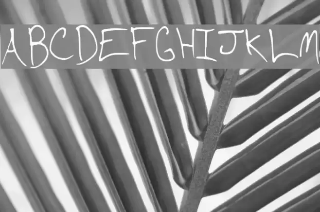 CD Writing Font examples