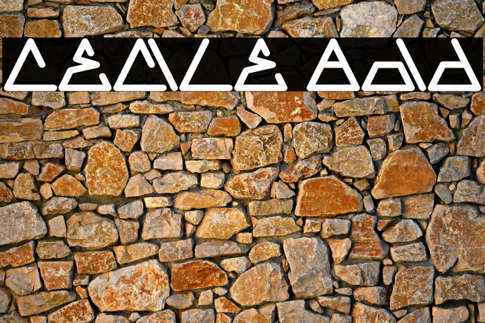 CECILE Bold Example 1