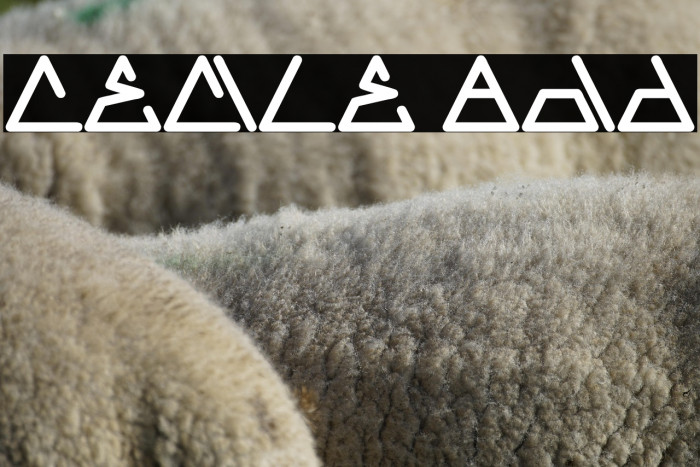 CECILE Bold Example 2