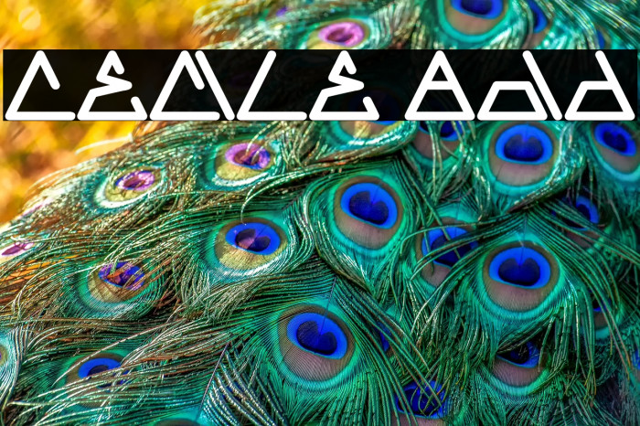 CECILE Bold Example 3