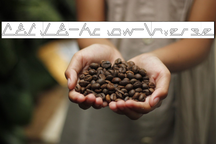 CECILE-Hollow-Inverse Example 2