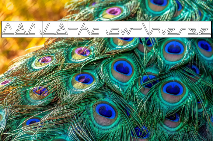 CECILE-Hollow-Inverse Example 3