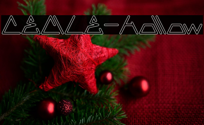 CECILE-Hollow Example 2