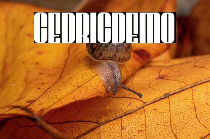 CEDRICdemo Example 1