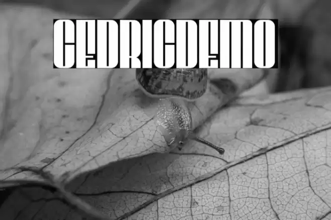 CEDRICdemo Font examples