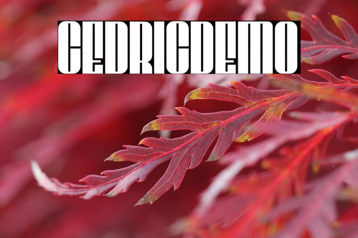 CEDRICdemo Example 3