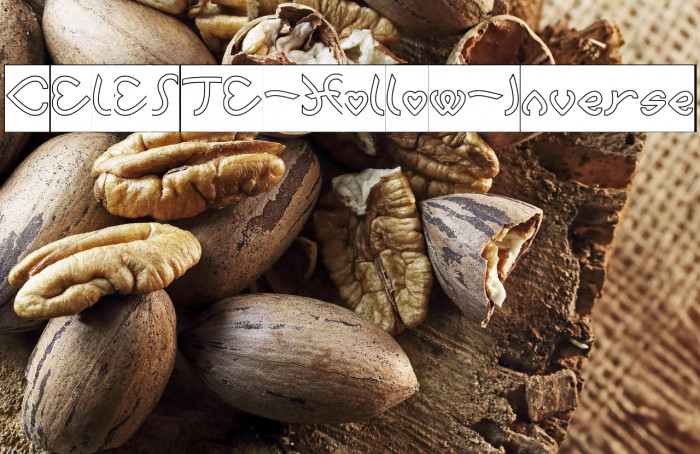 CELESTE-Hollow-Inverse Example 3