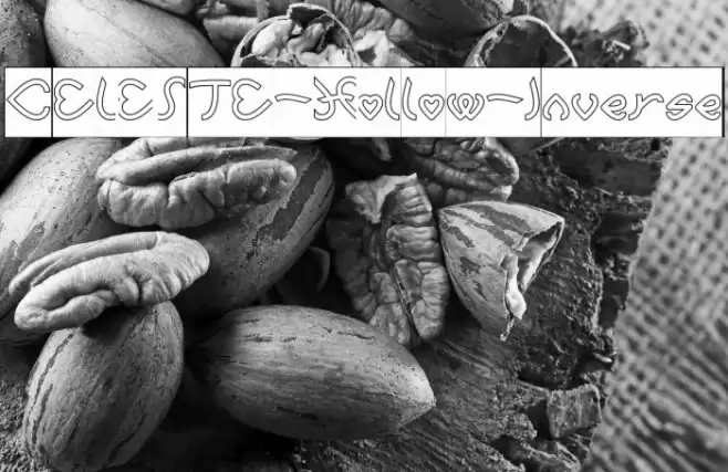 CELESTE-Hollow-Inverse Font examples