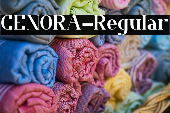 CENORA-Regular Example 1