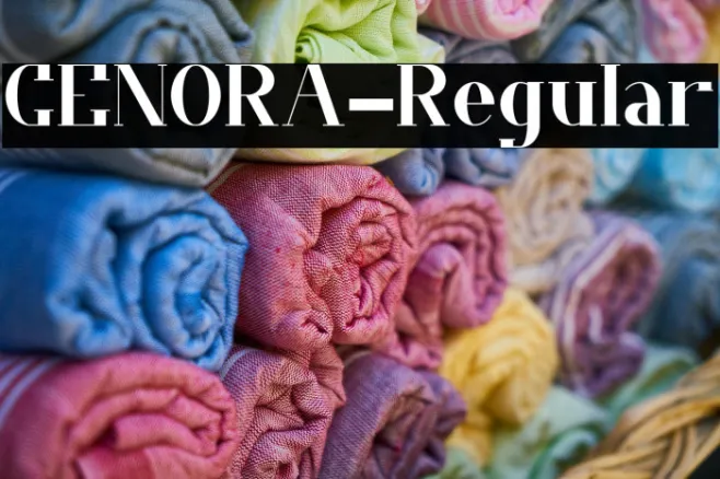 CENORA-Regular Example 1