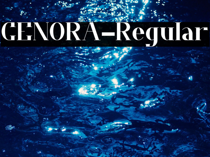 CENORA-Regular Example 2