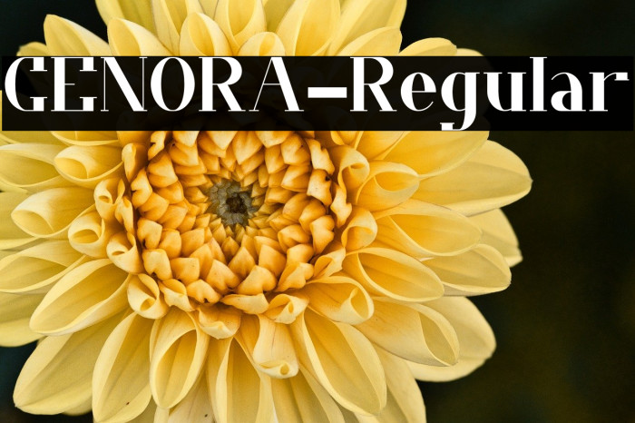 CENORA-Regular Example 3