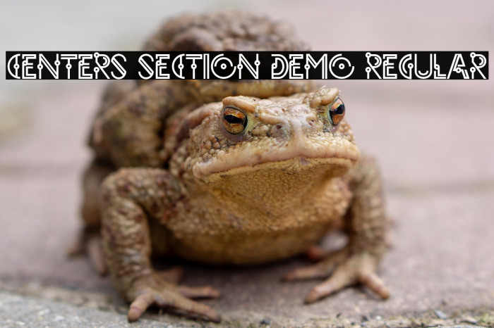 CENTERS SECTION DEMO Regular Example 1