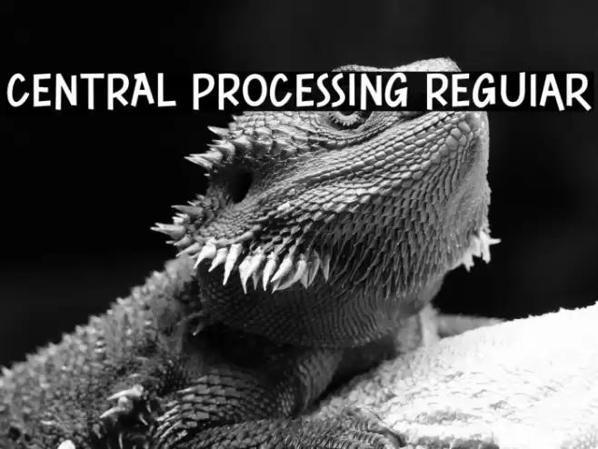 CENTRAL PROCESSING Regular Font examples